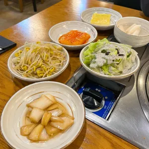조가네갑오징어 사진