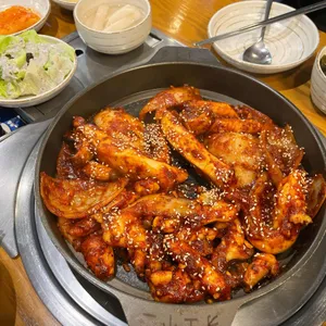 조가네갑오징어 사진