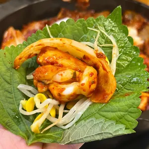 조가네갑오징어 사진