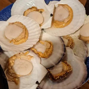 식이네 사진