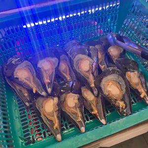 평택조개구이무한리필 리뷰 사진