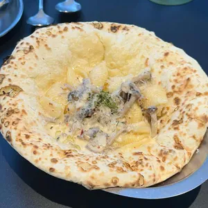 FWV 사진
