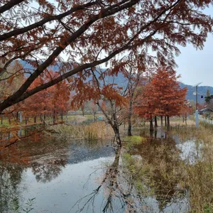 율리저수지 사진