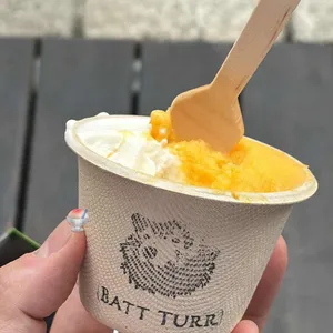 받터 사진