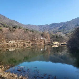 엔학고레 리뷰 사진