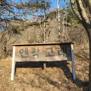 엔학고레 리뷰 사진