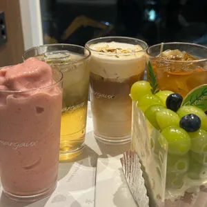 마고노더니스 사진