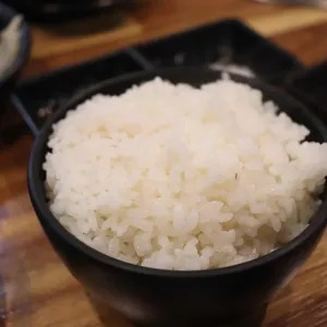깡돼지 사진