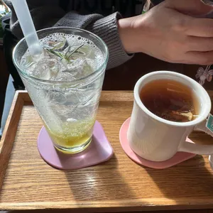 감꽃당 사진