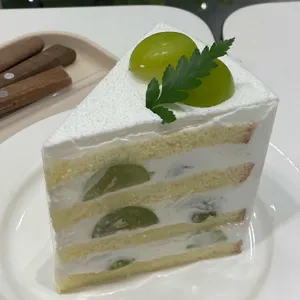 언씬 사진
