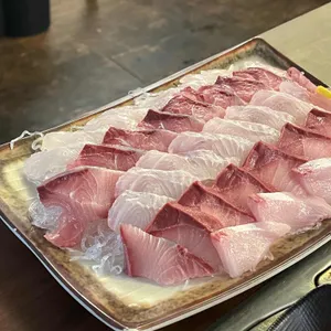 싱싱오징어바다 사진