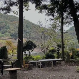 운평769 리뷰 사진
