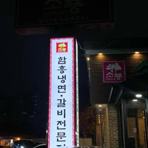 소나무가있는풍경 리뷰 사진