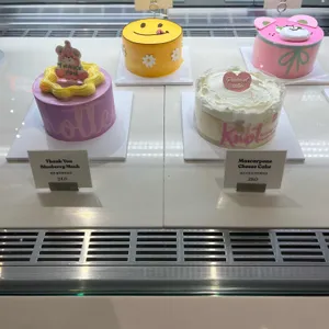 노티드 사진