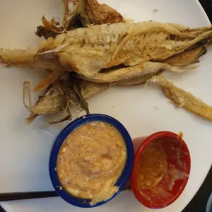 먹태생맥주 사진