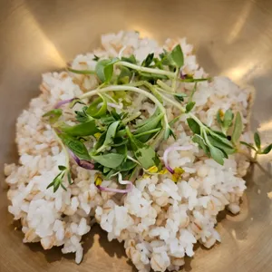 하하보리밥 사진