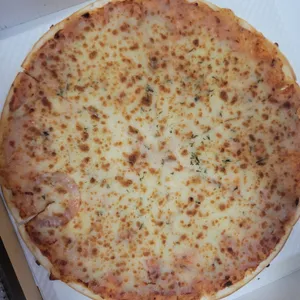 브롱스  사진