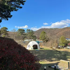 품 카페 리뷰 사진