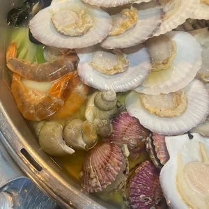 88조개 사진