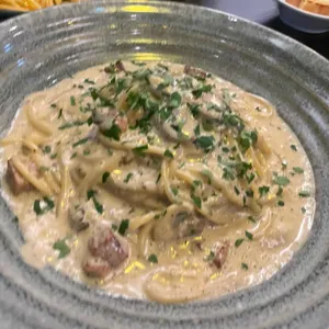 파쏘 사진