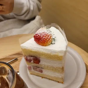 콜렉티보 사진
