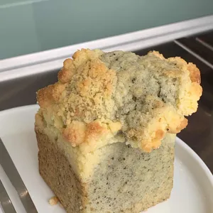 올오브 사진
