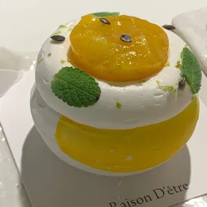 레종데트르 사진