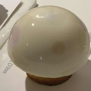 레종데트르 사진