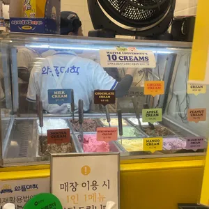 와플대학 리뷰 사진