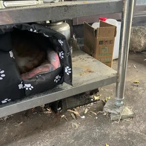 황남경주식당 리뷰 사진