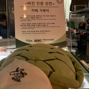거북이 리뷰 사진