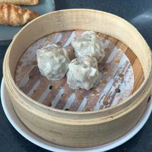 페이딤 사진