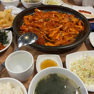 네모오징어 사진
