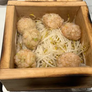 봄담아 사진