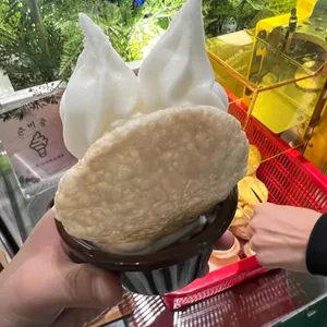 봄담아 리뷰 사진