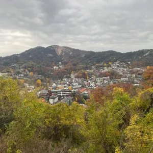 희작 리뷰 사진
