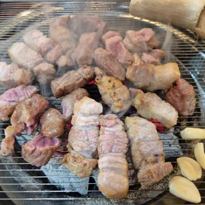비가우돈 사진