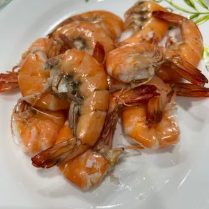 파도회 사진