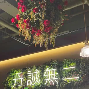 단성무이 리뷰 사진