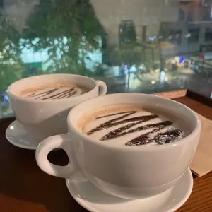 파피오 사진