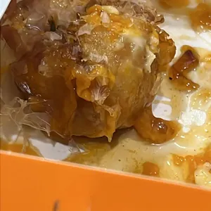 타코비 사진