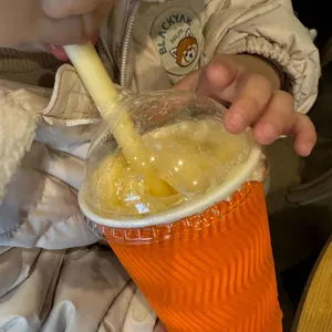 사트레봉 사진