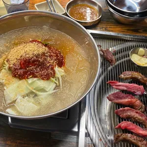 은행나무갈매기 사진