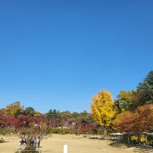 파크프리베 리뷰 사진