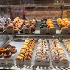 노티드 사진