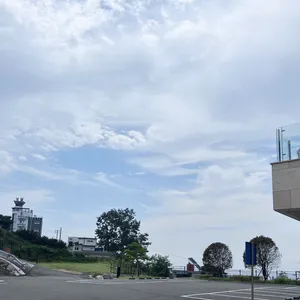 할로브리즈 사진