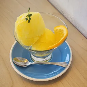 부쉬 사진
