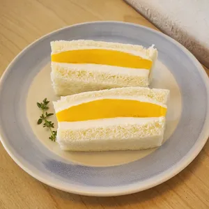 부쉬 사진