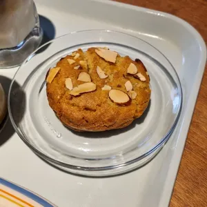 숨바꼭질 사진