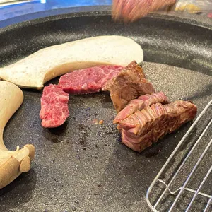 들켰소 사진